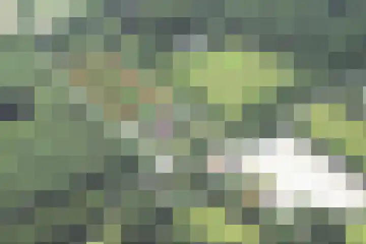 Park de Wervelaan 23 Rijswijk thumbnail 6