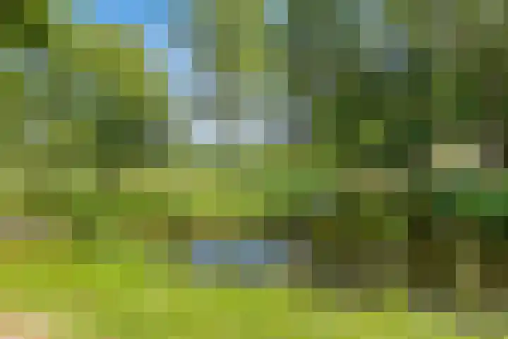 Park de Wervelaan 23 Rijswijk thumbnail 7