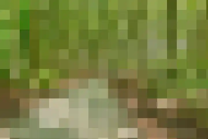 Park de Wervelaan 23 Rijswijk thumbnail 8