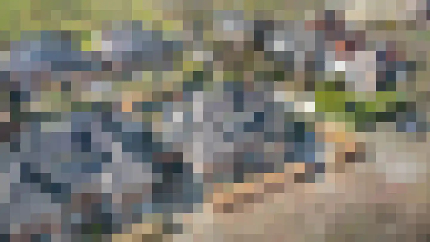 Park de Wervelaan 45 Rijswijk thumbnail 5
