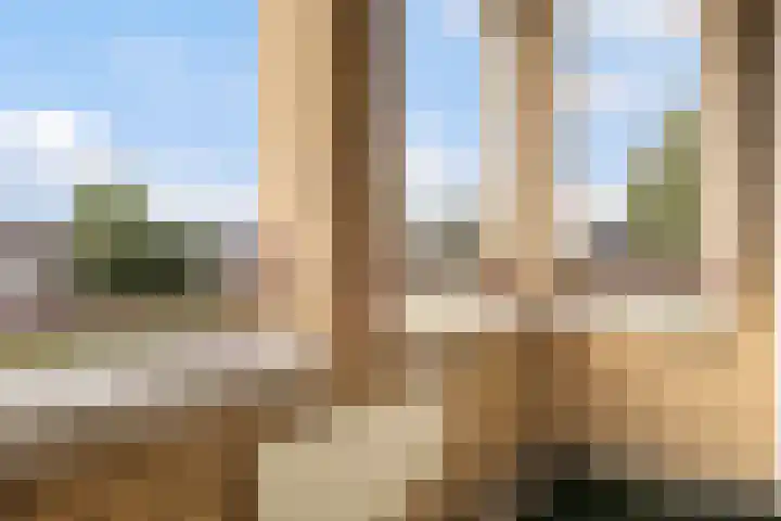 Park Den Eng 17 Lunteren thumbnail 12