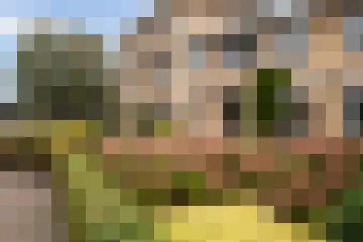 Park Den Eng 17 Lunteren thumbnail 33