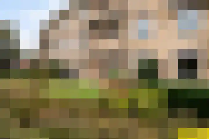 Park Den Eng 17 Lunteren thumbnail 34