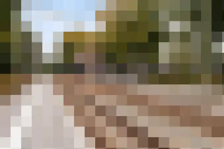 Park Den Eng 17 Lunteren thumbnail 36