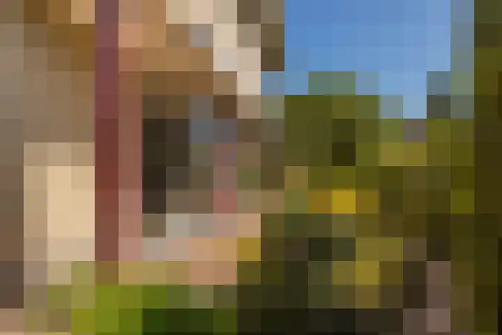 Park Den Eng 37 Lunteren thumbnail 29