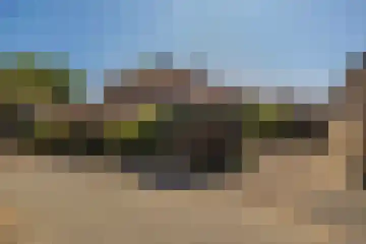 Park Den Eng 37 Lunteren thumbnail 36