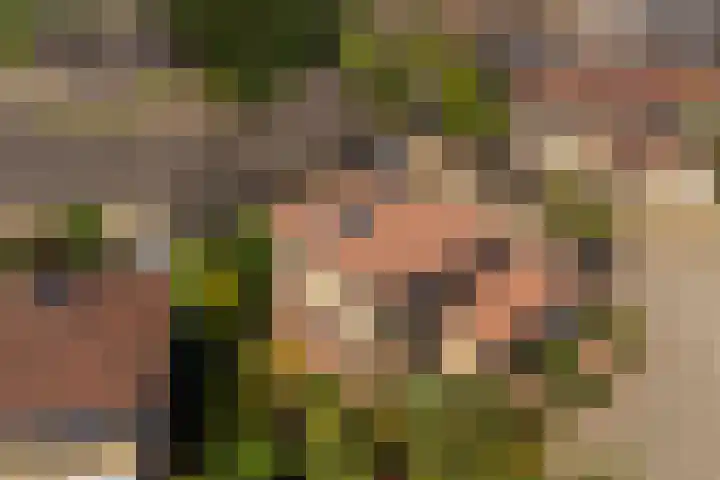 Park Den Eng 37 Lunteren thumbnail 39