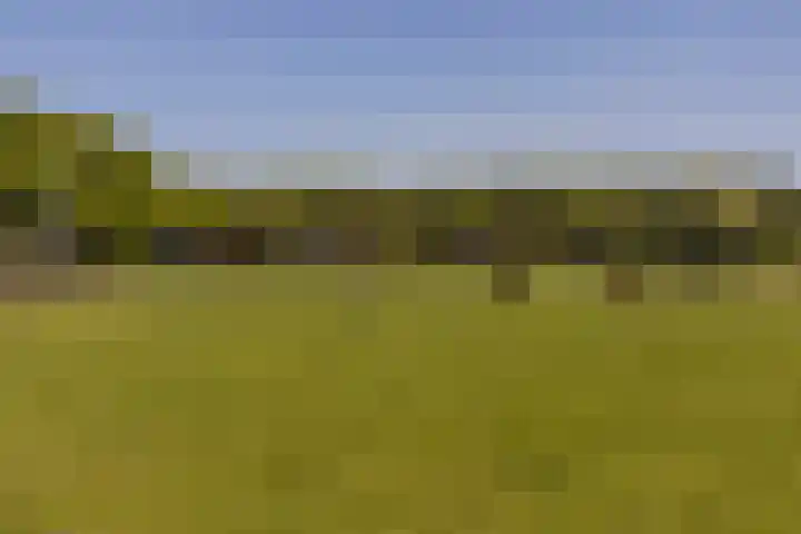 Park Den Eng 37 Lunteren thumbnail 45