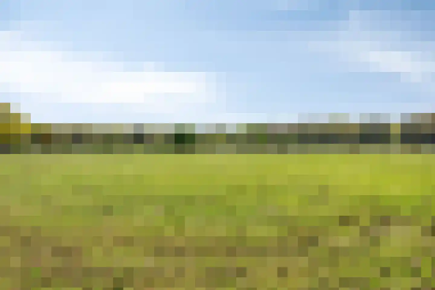 Park Den Eng 7 Lunteren thumbnail 31