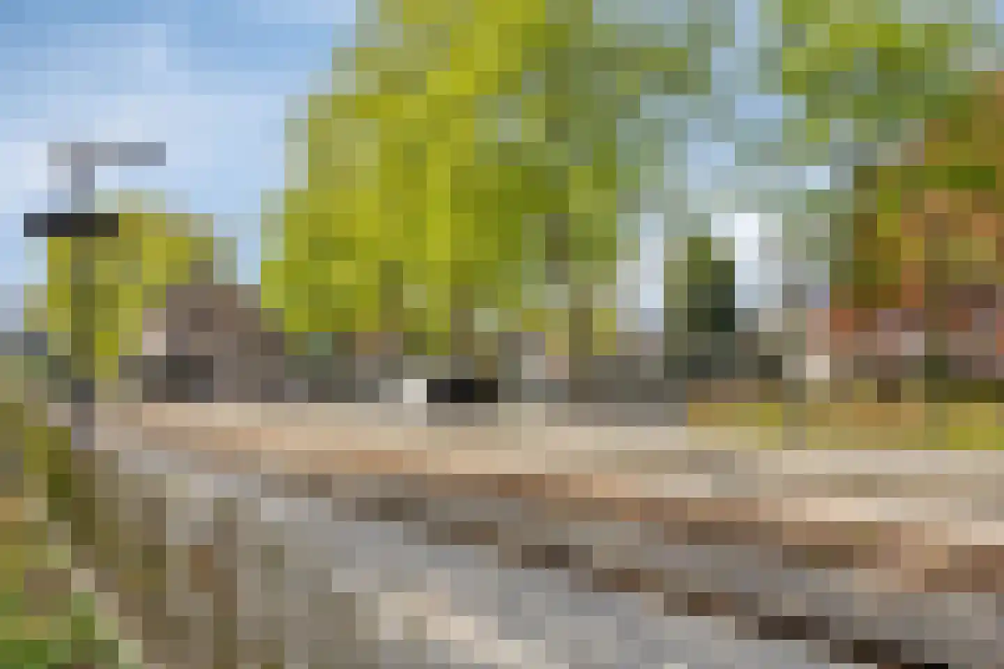 Park Den Eng 7 Lunteren thumbnail 32