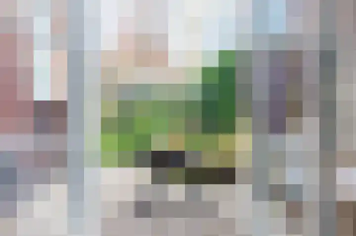 Park die Leythe 16 Leiden thumbnail 17