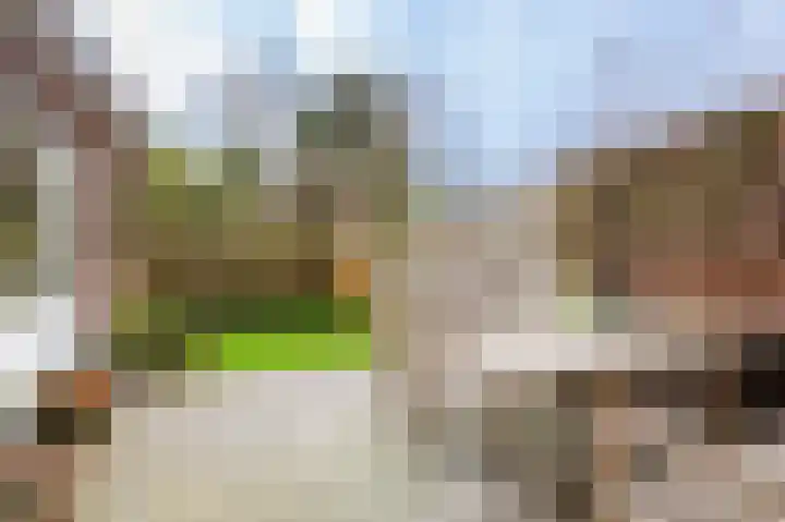 Park die Leythe 16 Leiden thumbnail 24