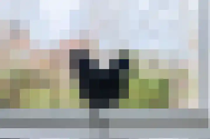 Park die Leythe 16 Leiden thumbnail 28