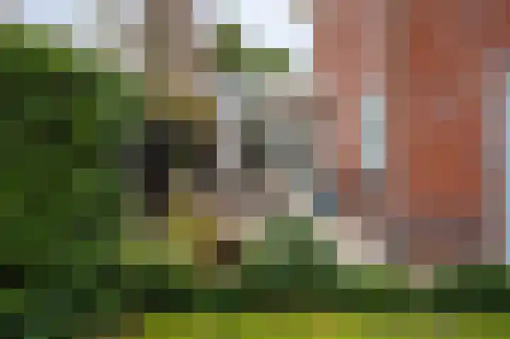 Park die Leythe 16 Leiden thumbnail 5