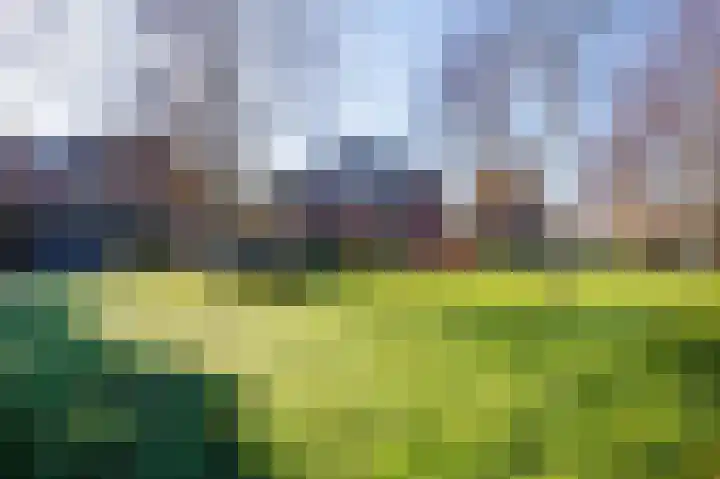 Park die Leythe 16 Leiden thumbnail 55