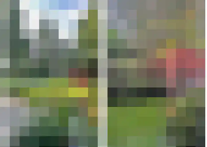 Park die Leythe 16 Leiden thumbnail 57