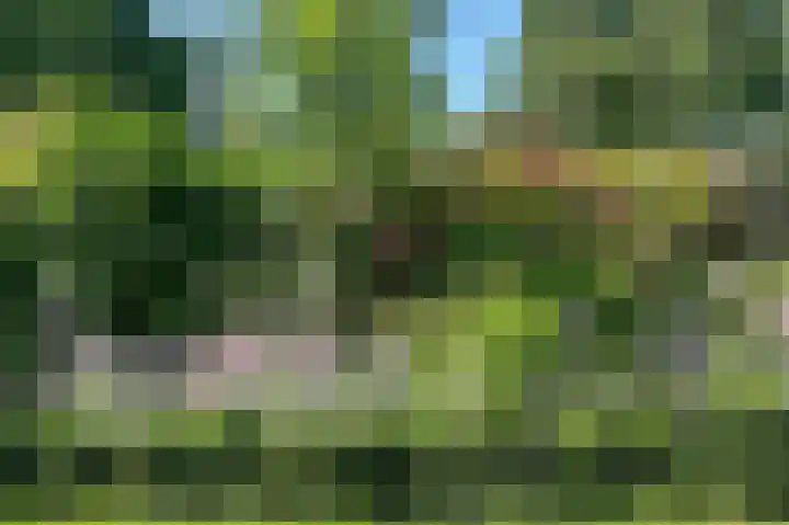 Park die Leythe 16 Leiden thumbnail 58