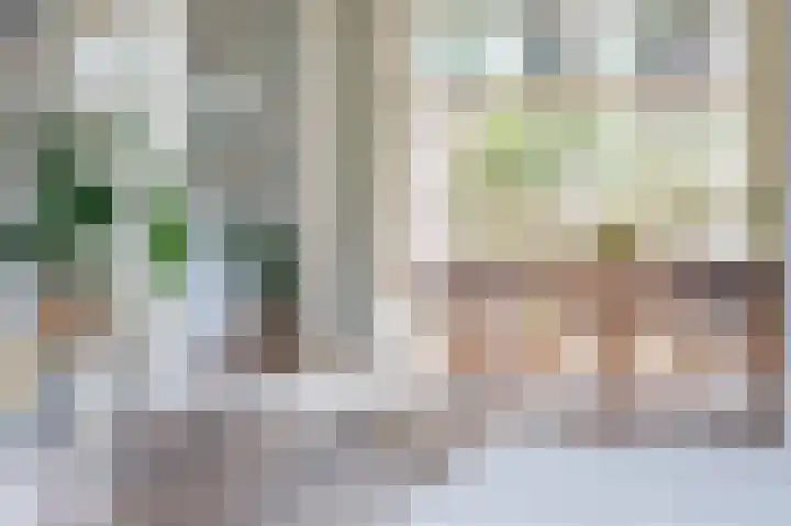 Park die Leythe 16 Leiden thumbnail 8