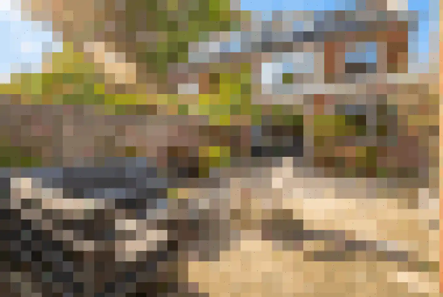 Park die Leythe 8 Leiden thumbnail 33