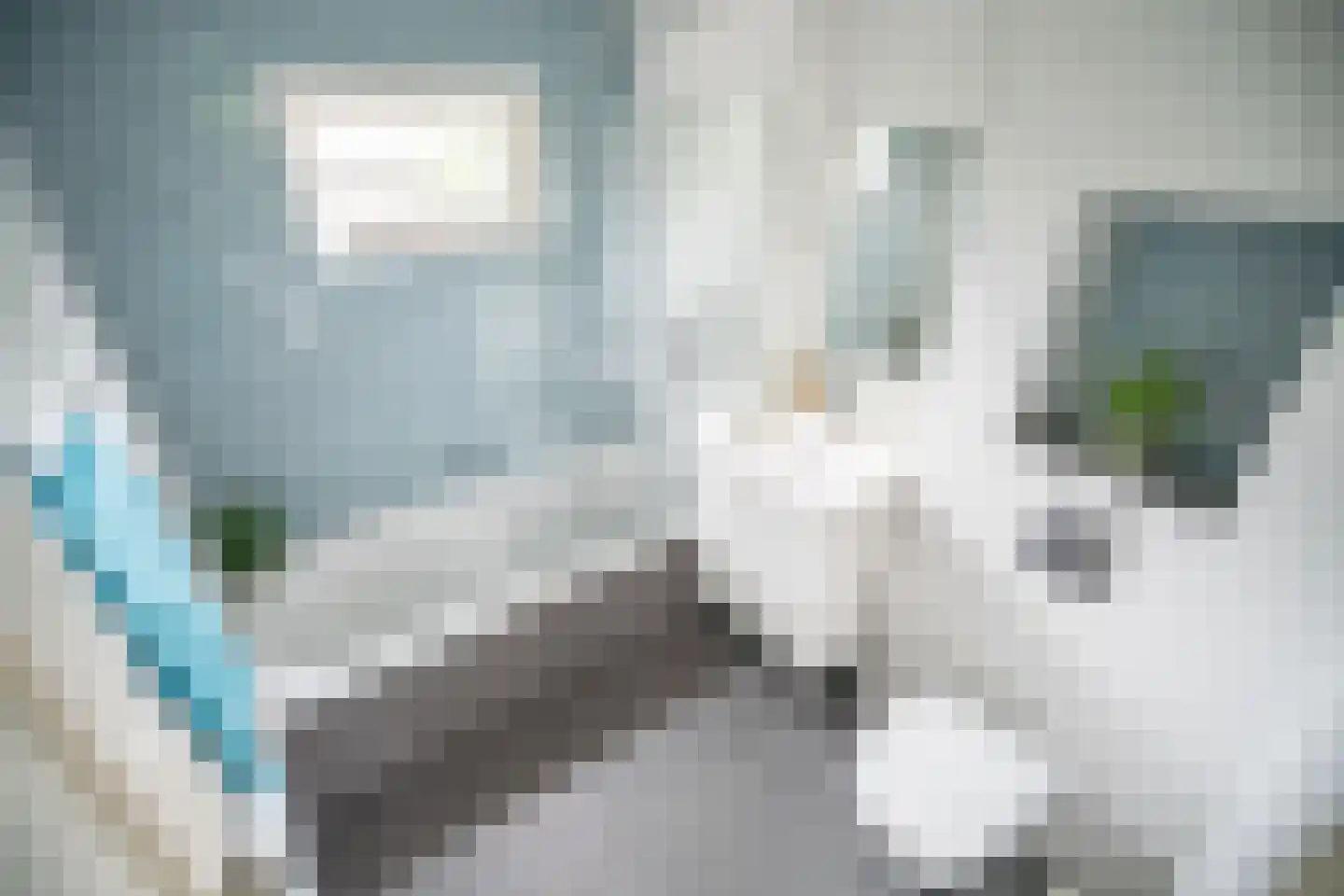 Park die Leythe 8 Leiden thumbnail 48