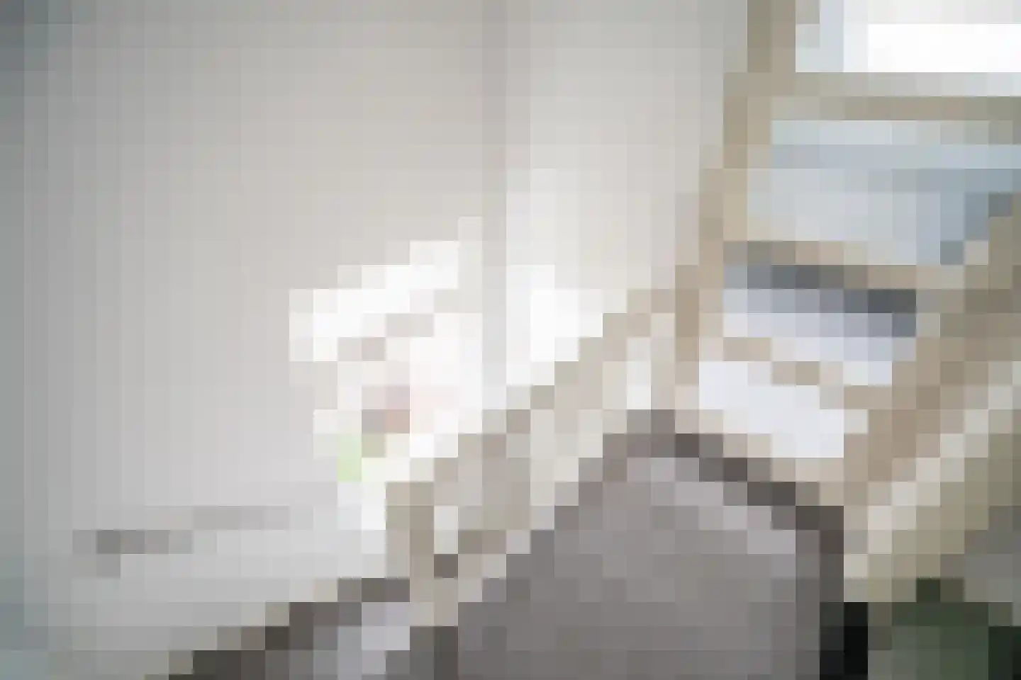 Park die Leythe 8 Leiden thumbnail 58