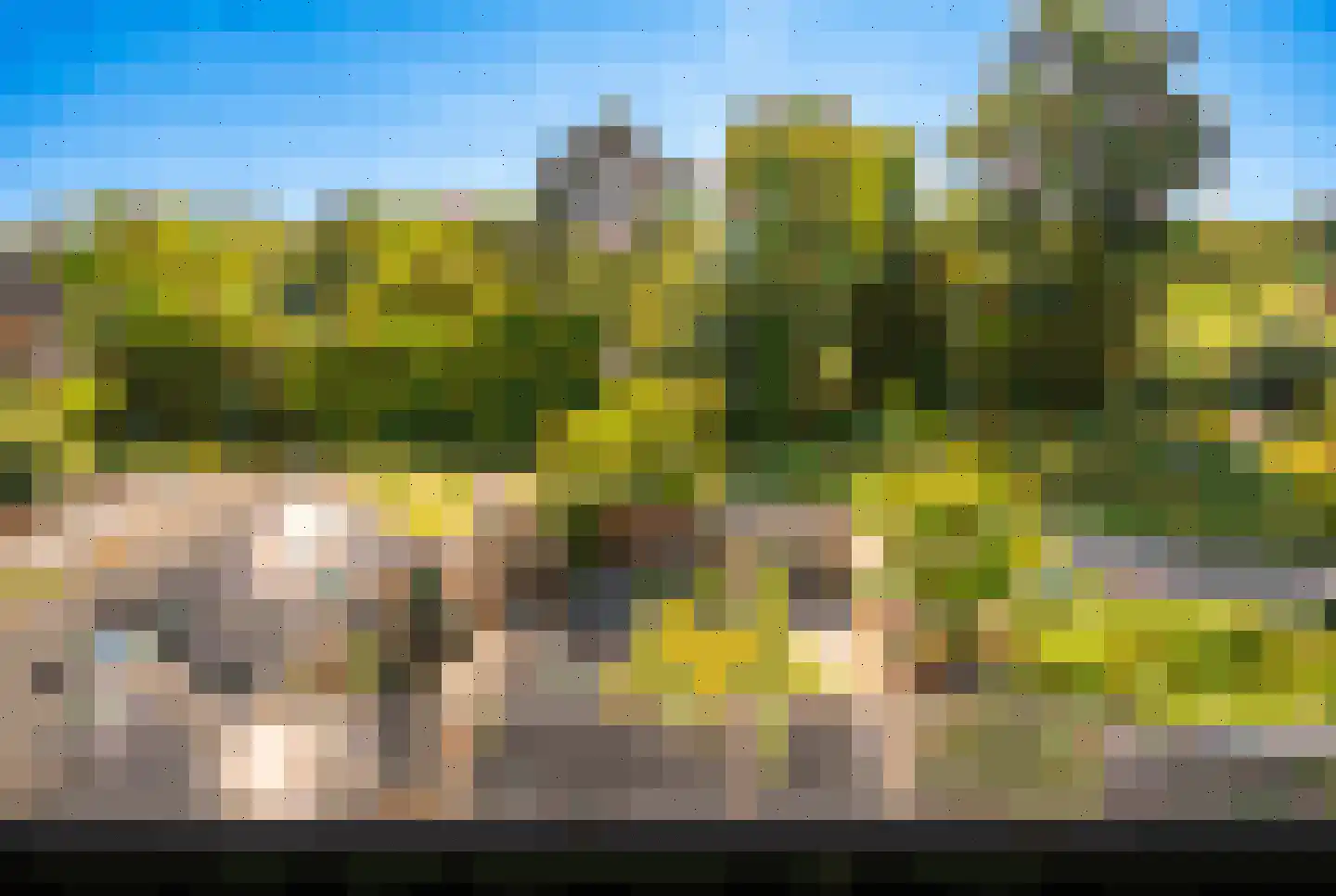 Park die Leythe 8 Leiden thumbnail 64