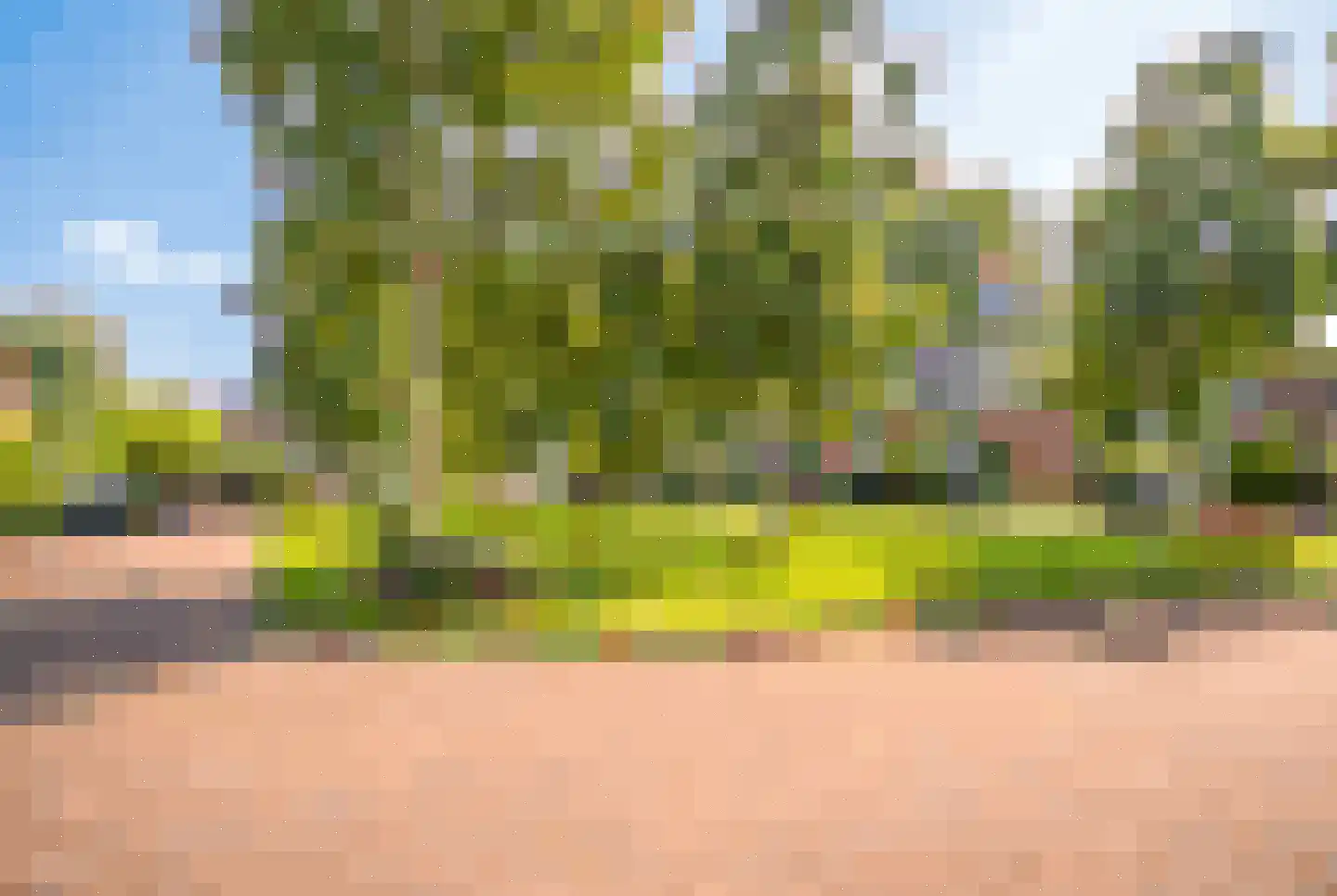 Park die Leythe 8 Leiden thumbnail 73