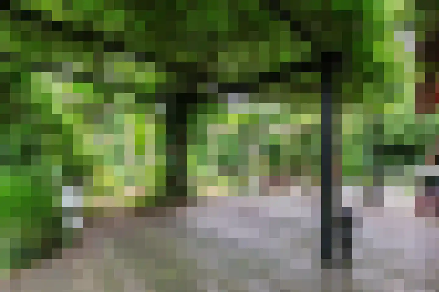 Park Dolce Vita 37 Zevenhoven thumbnail 21