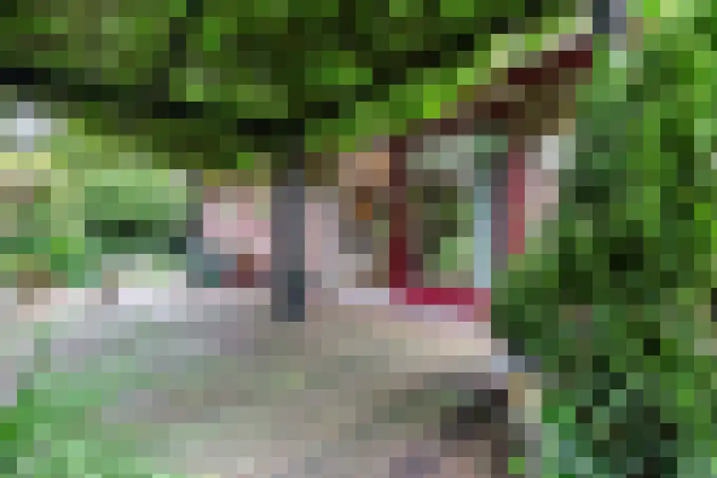 Park Dolce Vita 37 Zevenhoven thumbnail 22