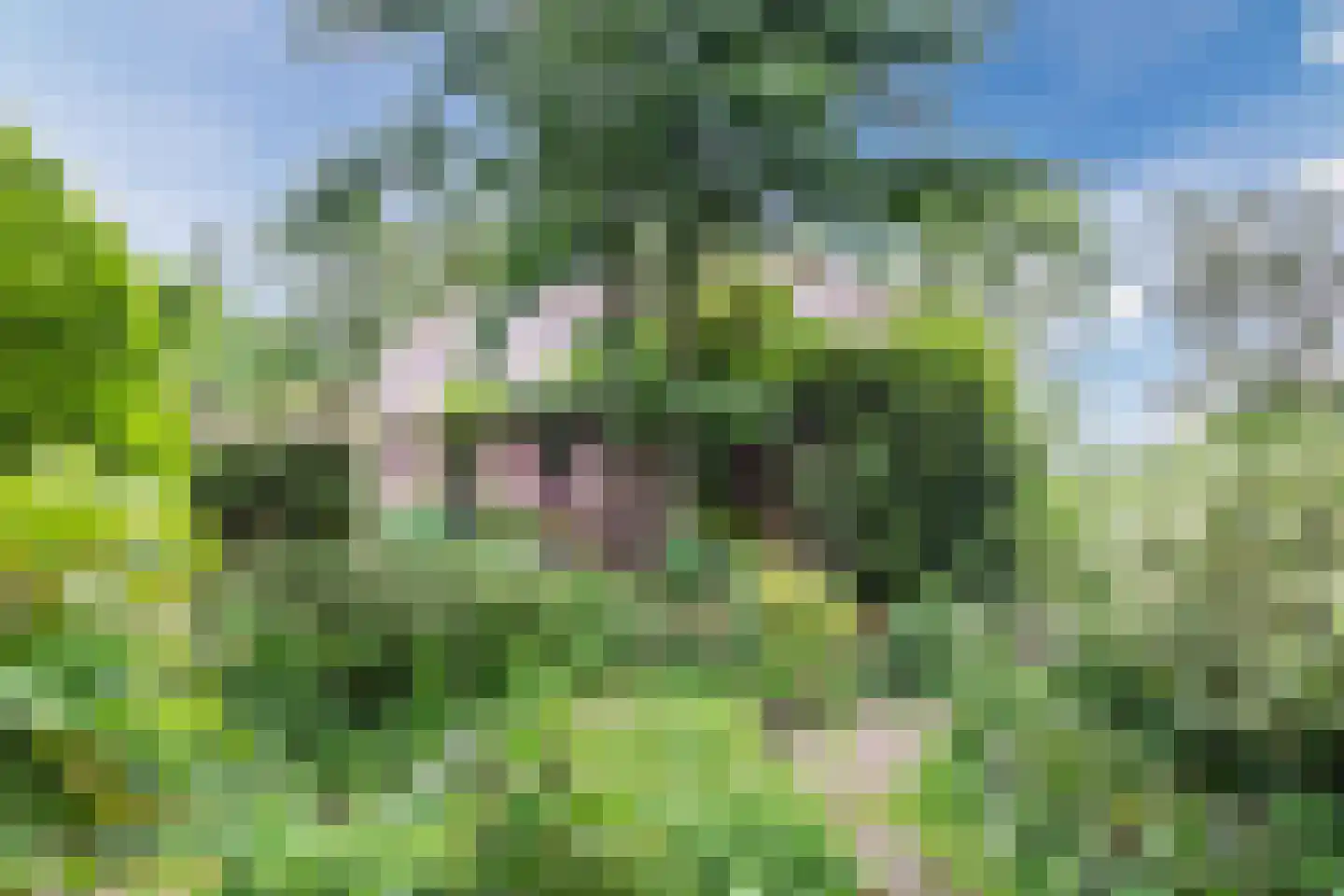 Park Dolce Vita 37 Zevenhoven thumbnail 23