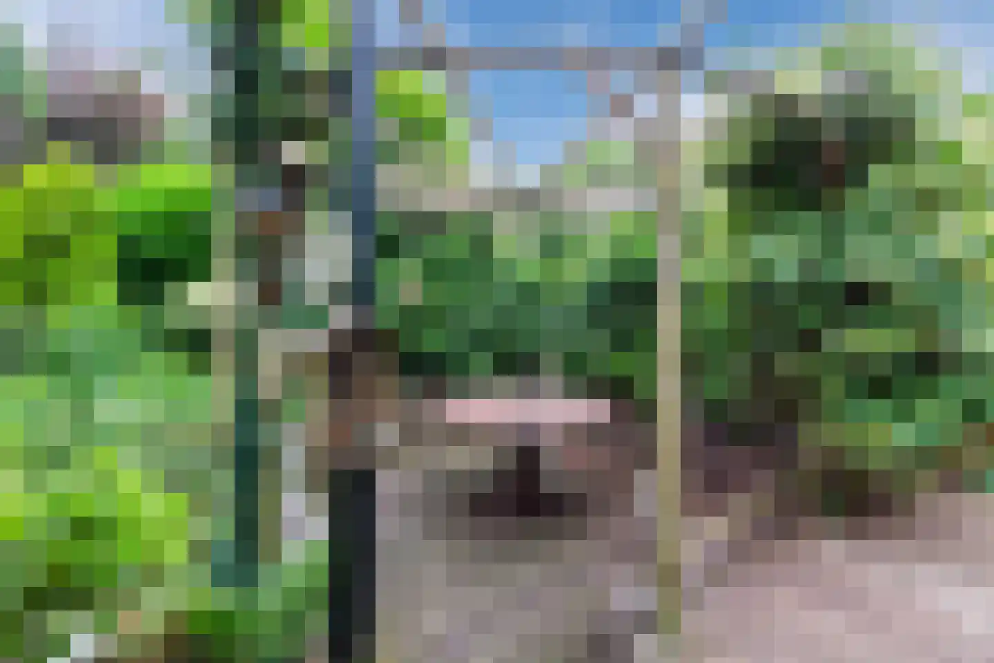 Park Dolce Vita 37 Zevenhoven thumbnail 24