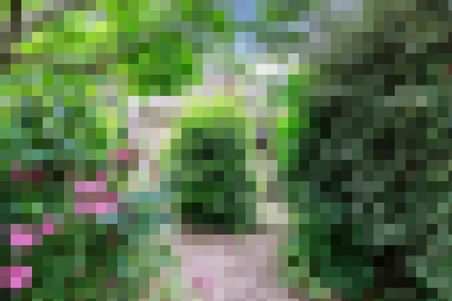 Park Dolce Vita 37 Zevenhoven thumbnail 28