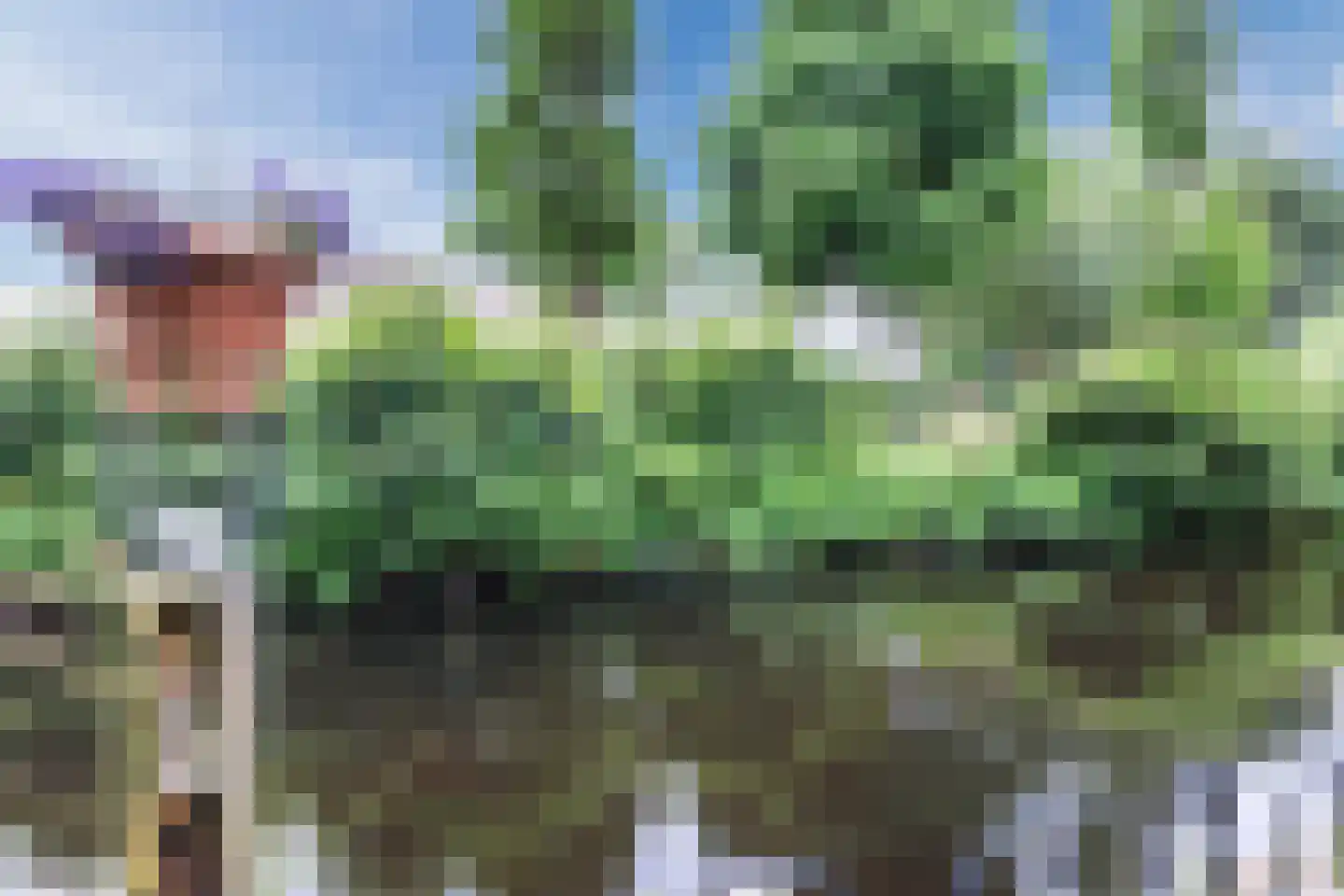 Park Dolce Vita 37 Zevenhoven thumbnail 30