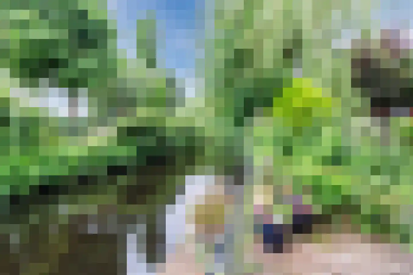 Park Dolce Vita 37 Zevenhoven thumbnail 31