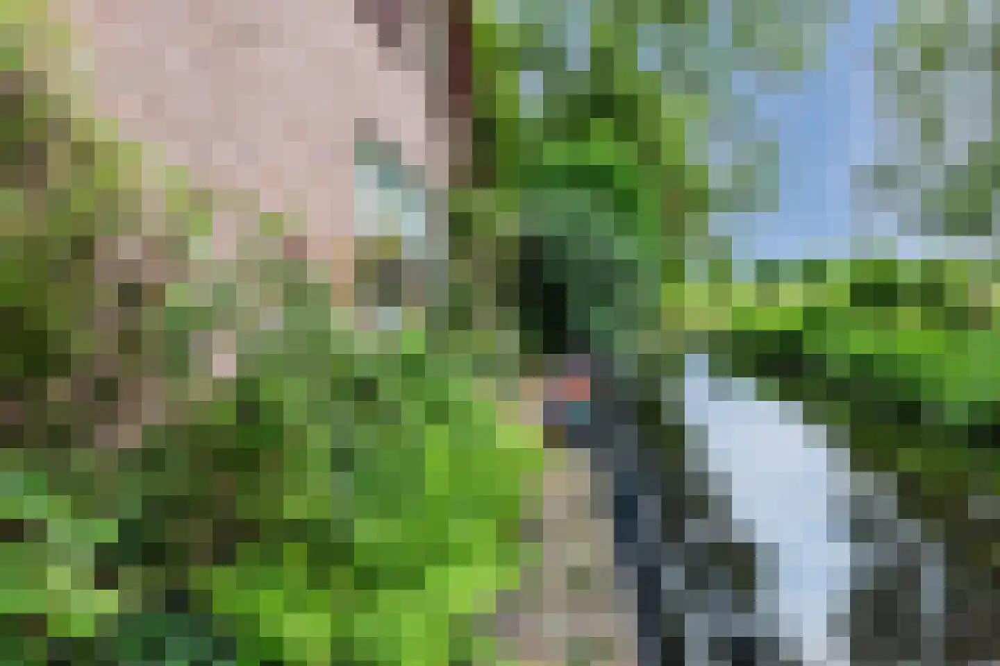 Park Dolce Vita 37 Zevenhoven thumbnail 32