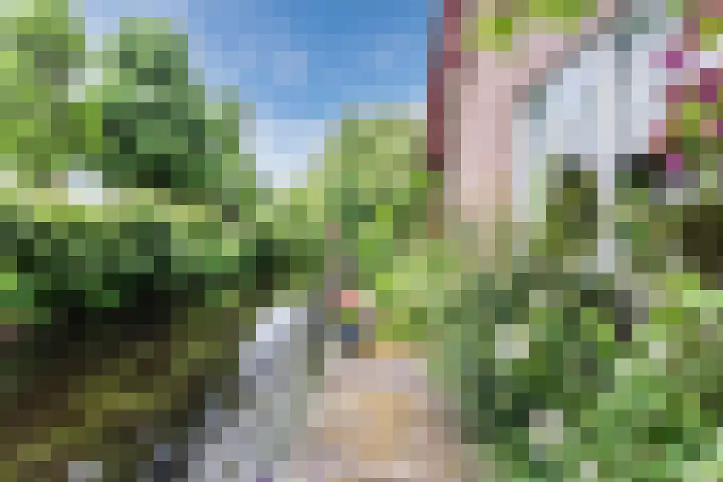 Park Dolce Vita 37 Zevenhoven thumbnail 33