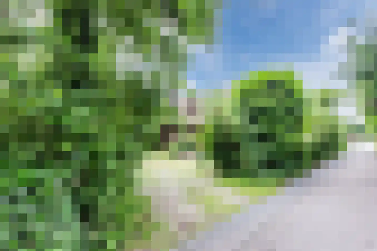 Park Dolce Vita 37 Zevenhoven thumbnail 37