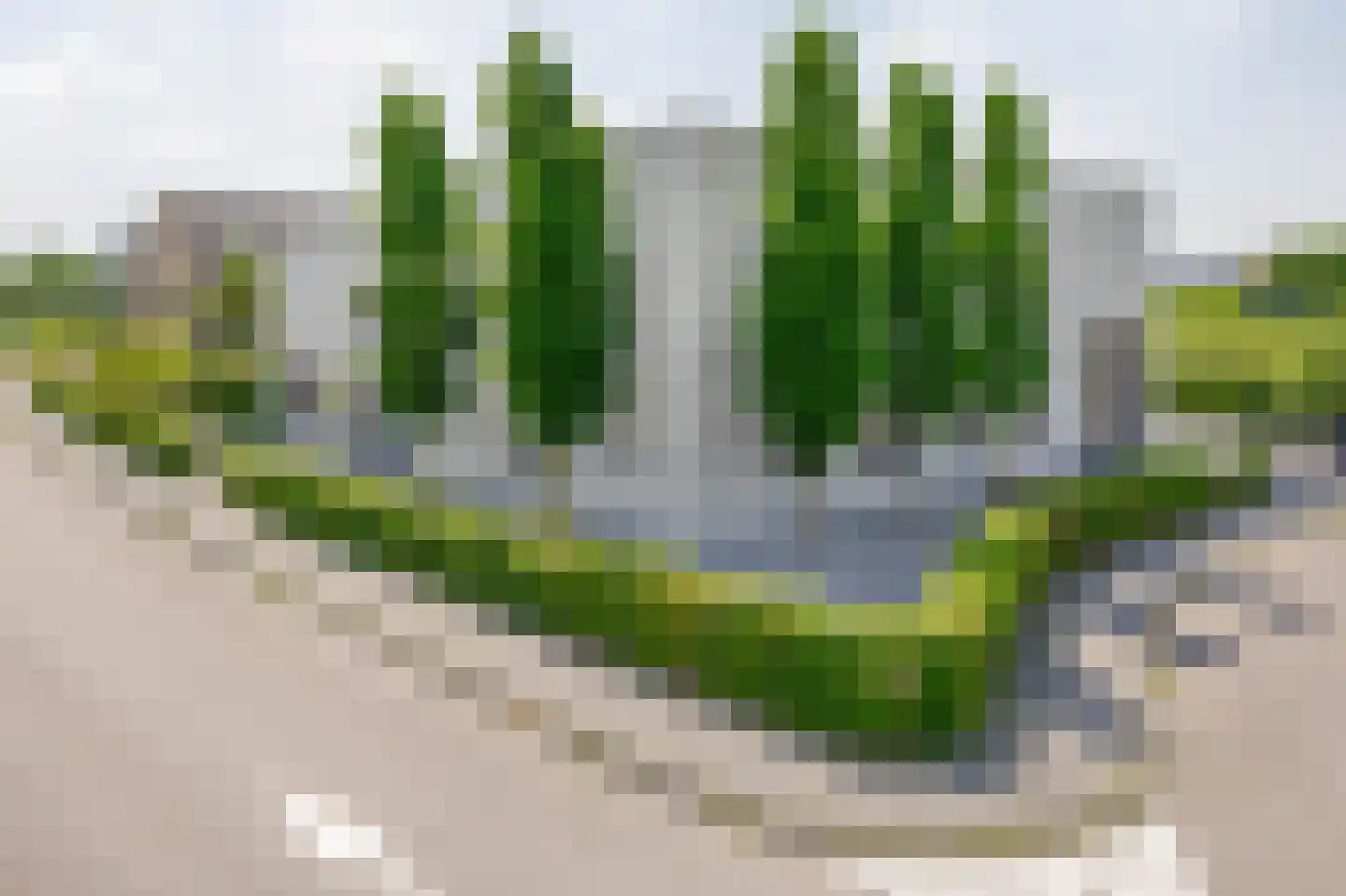Park Forum 262 Eindhoven thumbnail 76