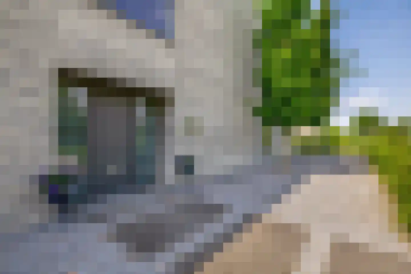 Park Forum 262 Eindhoven thumbnail 78