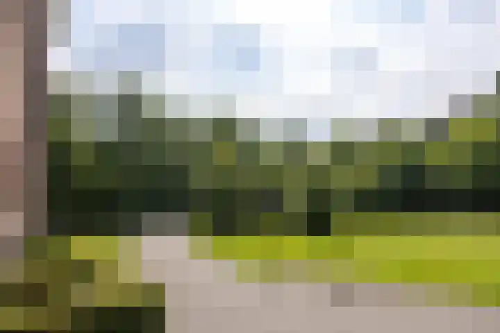 Park Glorieux 59 Vught thumbnail 42