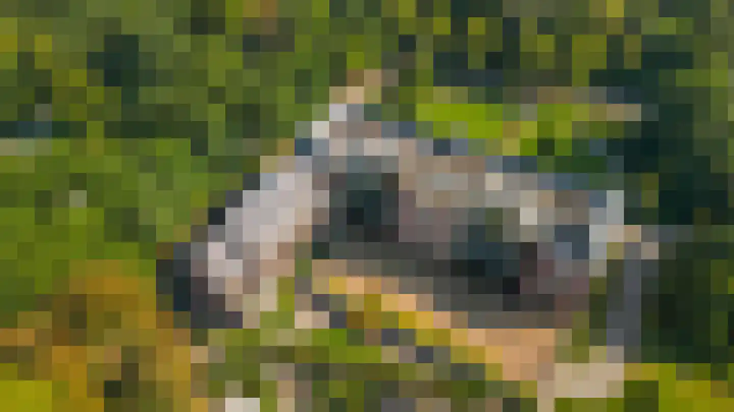 Park Glorieux 7 Vught thumbnail 6
