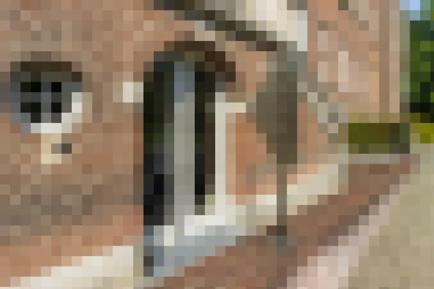 Park Glorieux 7 Vught thumbnail 8
