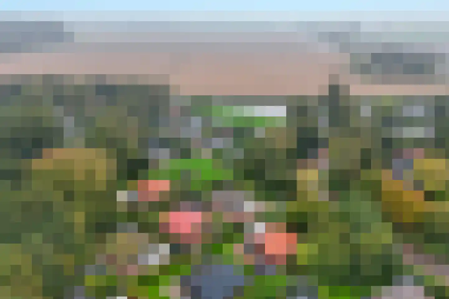 Park Groenhart 14 Dirkshorn thumbnail 33