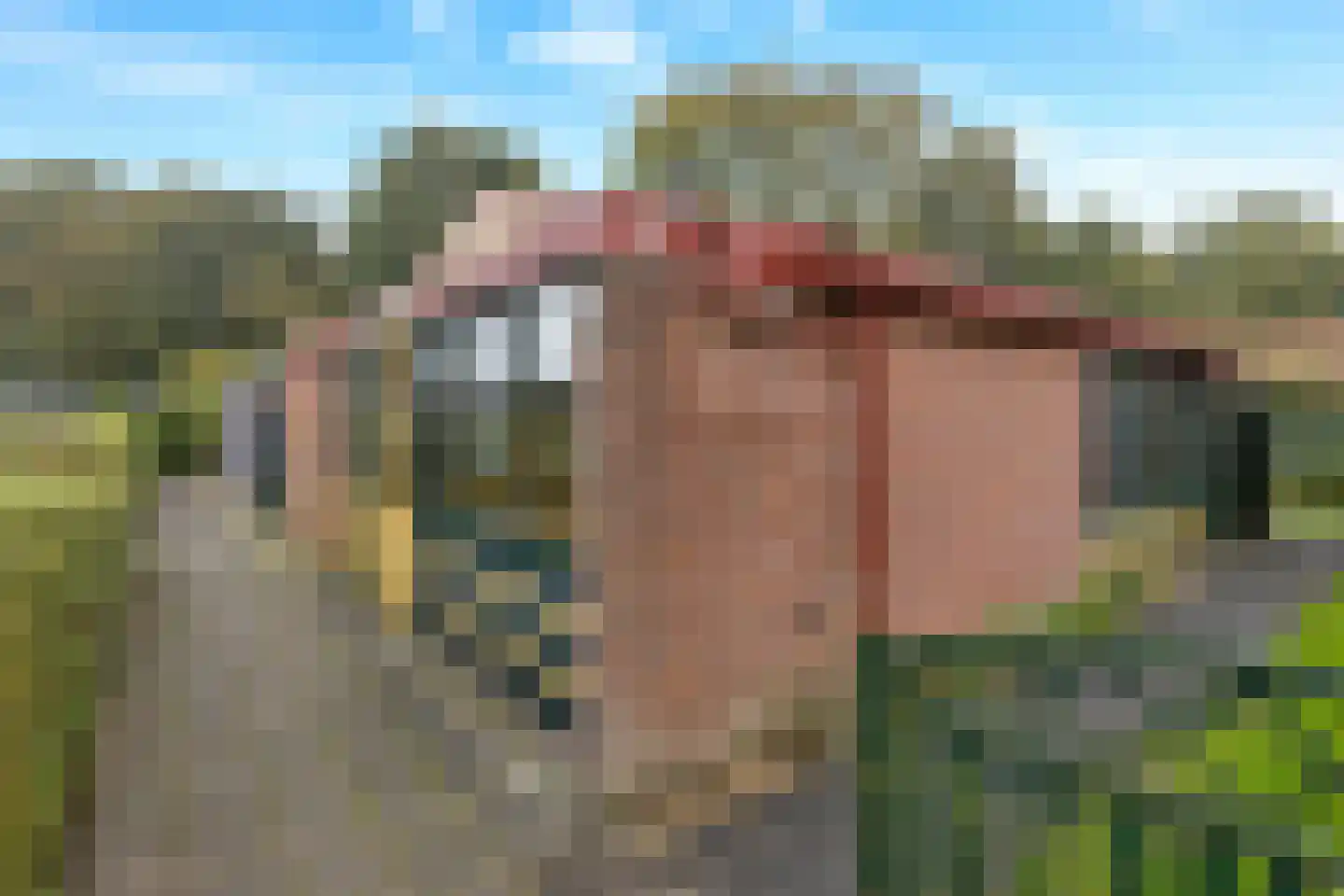 Park Groenhart 14 Dirkshorn thumbnail 7