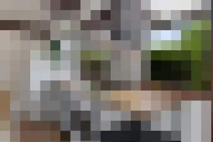 Park Groenhart 16 Dirkshorn thumbnail 13