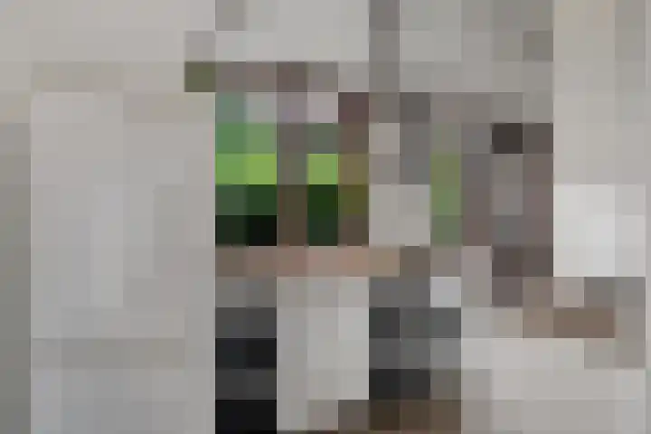 Park Groenhart 16 Dirkshorn thumbnail 15
