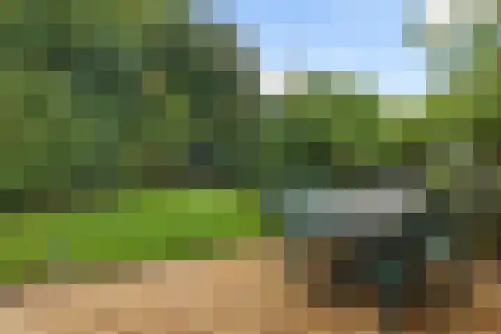 Park Groenhart 16 Dirkshorn thumbnail 30