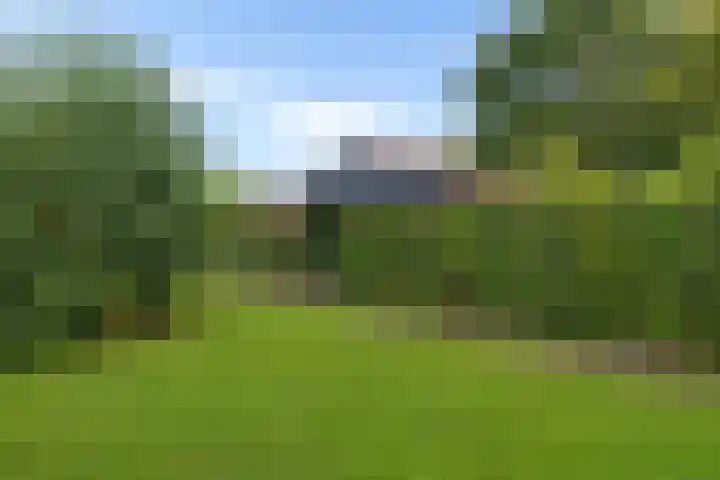 Park Groenhart 16 Dirkshorn thumbnail 31