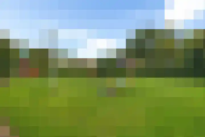 Park Groenhart 16 Dirkshorn thumbnail 33