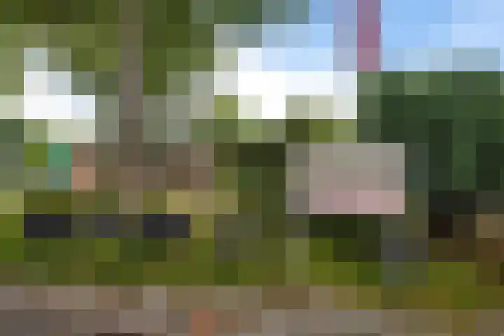 Park Groenhart 16 Dirkshorn thumbnail 34
